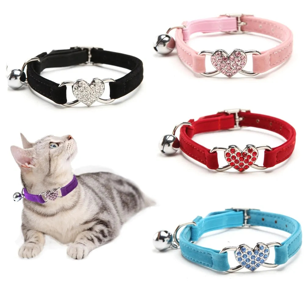 Catify premium leash collars