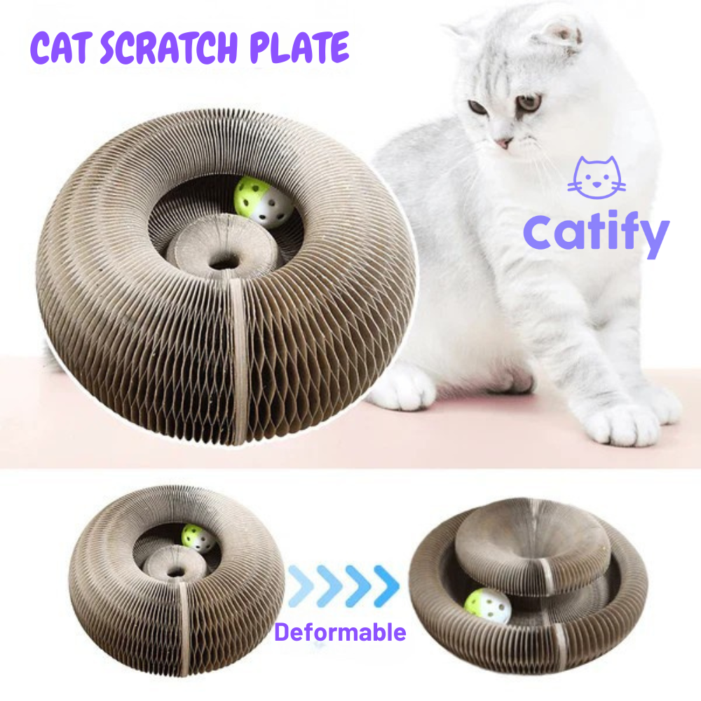 Catify Organic Scratching/play Board