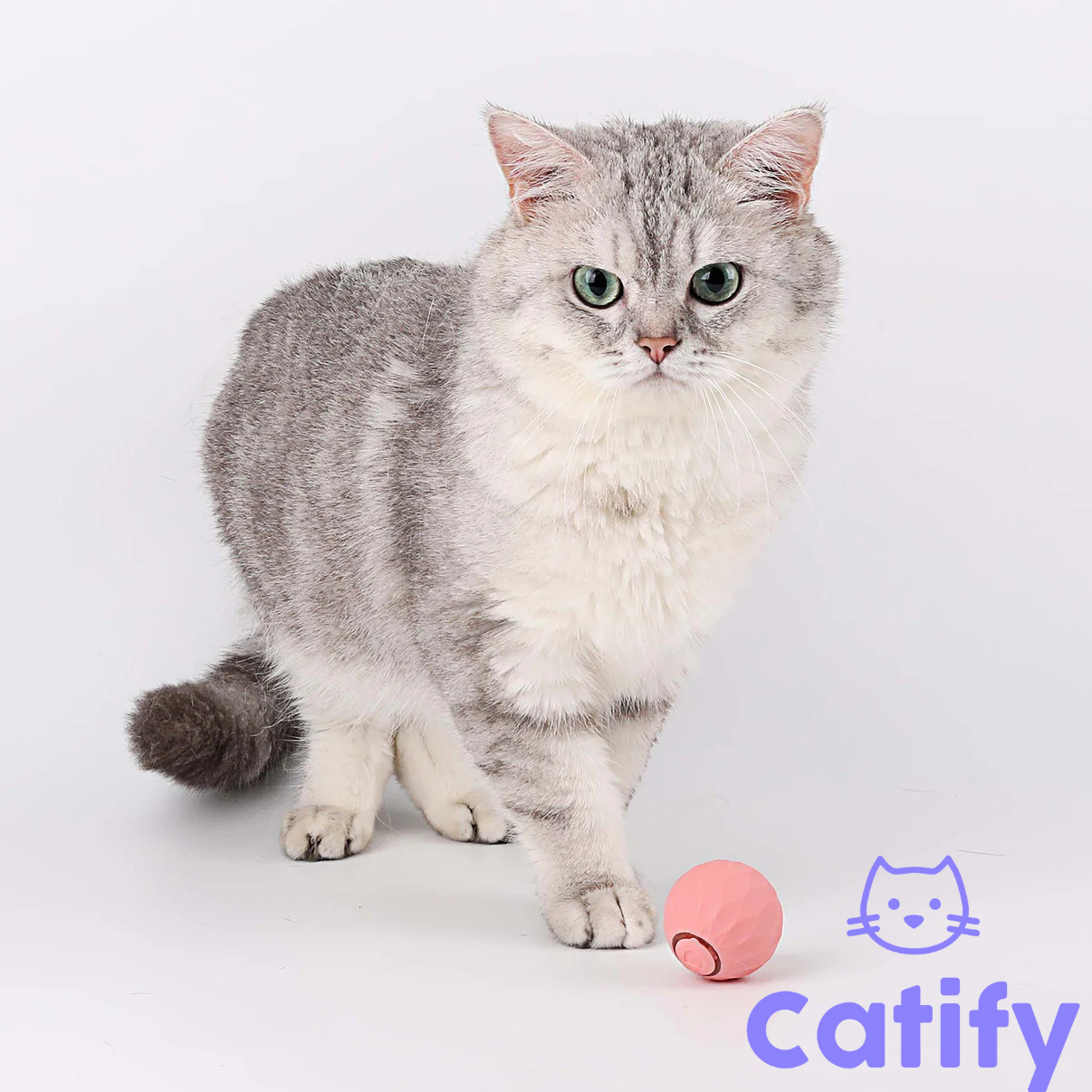 Catify Smart Rolling Ball