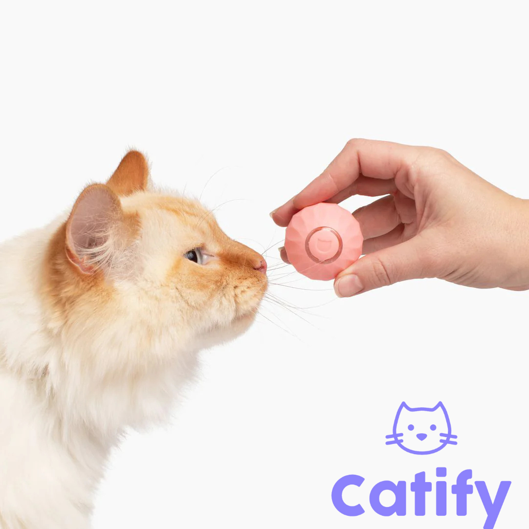 Catify Smart Rolling Ball