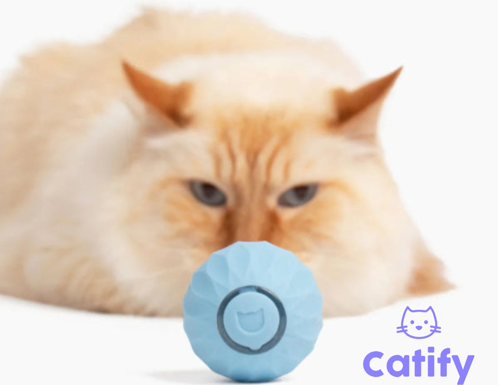 Catify Smart Rolling Ball