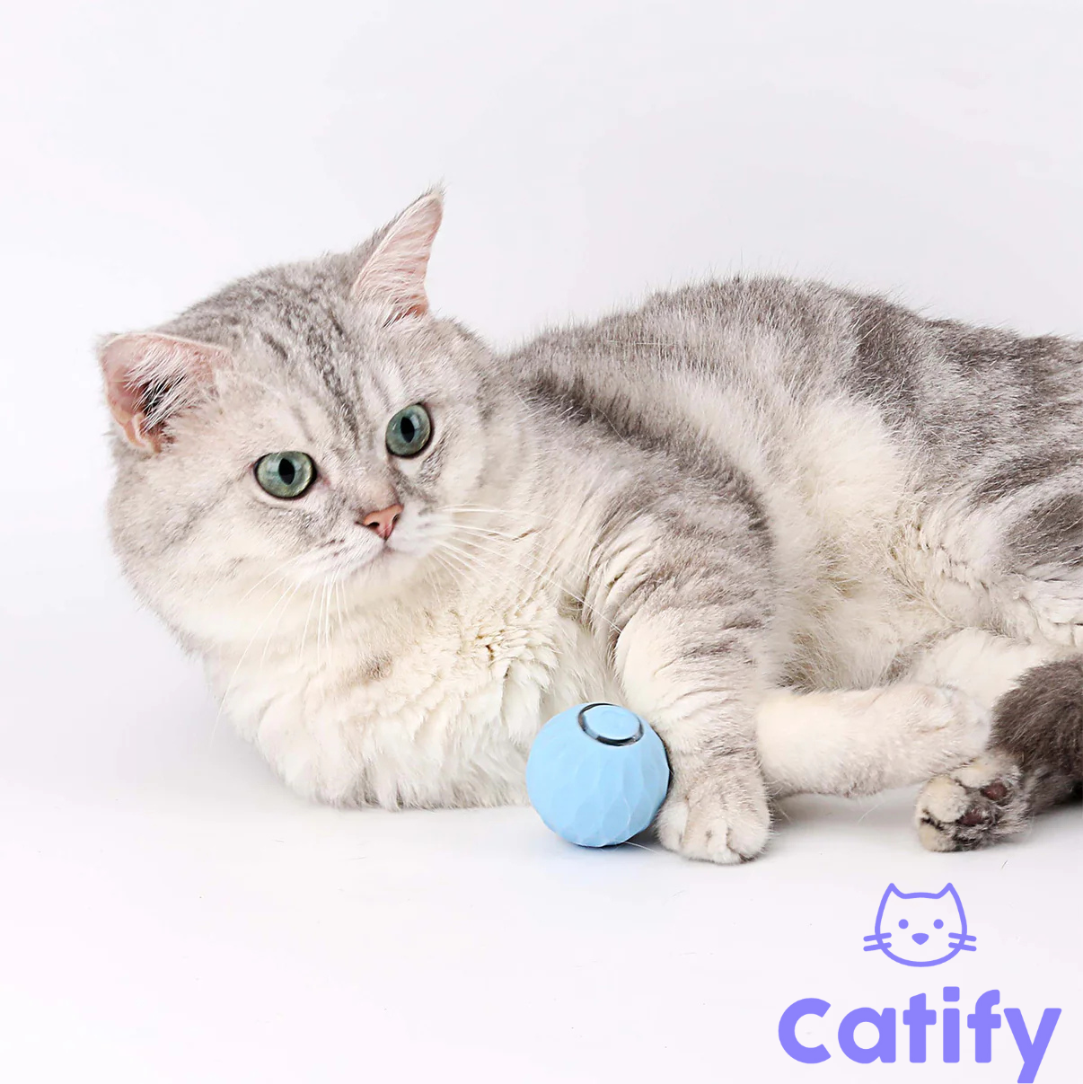 Catify Smart Rolling Ball