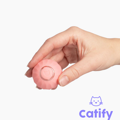 Catify Smart Rolling Ball