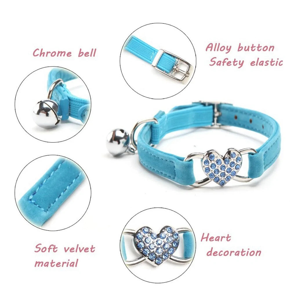 Catify premium leash collars